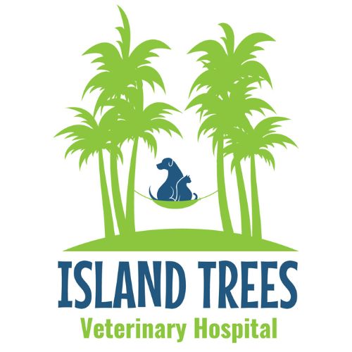 Island Trees Veterinary Hospital